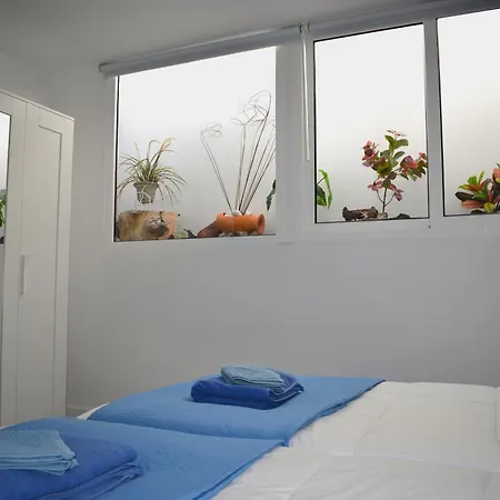 Appartement Casa Leo